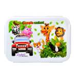 Rectangle Shaped Lunch Box 